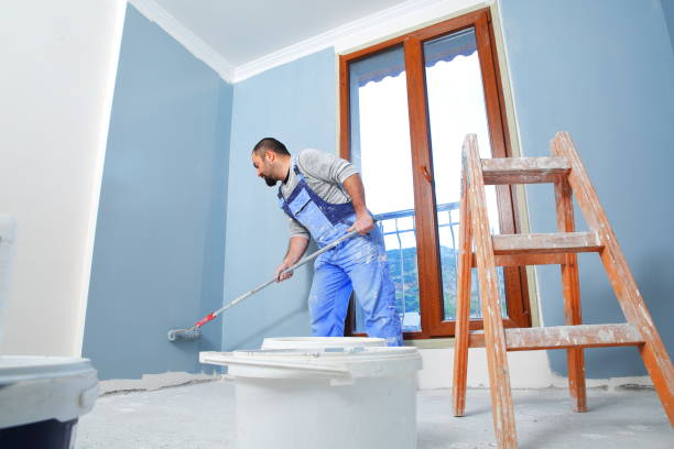 Reliable Iona, FL Mold Removal Solutions