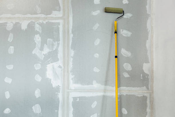 Best Mold Damage Restoration  in Iona, FL