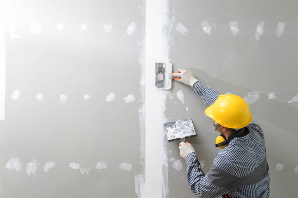 Iona, FL Mold Removal Pros