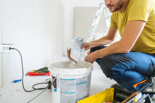 Best Crawl Space Mold Remediation  in Iona, FL