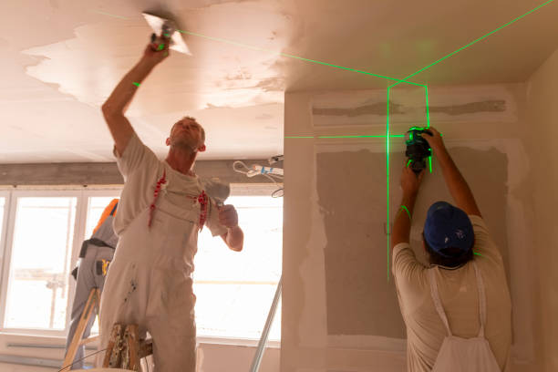Best Mold Odor Removal Services  in Iona, FL
