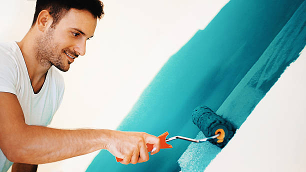 Best Forensic Mold Investigation  in Iona, FL