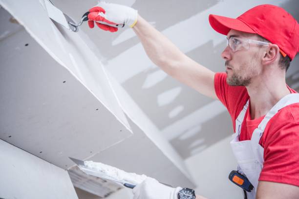 Best Mold Remediation for Healthcare Facilities  in Iona, FL